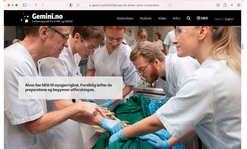 Kongsvold-webside